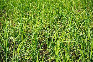 像素风2D平台动作游戏《时空装备：时间守护者》现已上线Steam平台